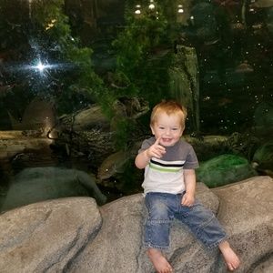 Meet your Posher, Beana